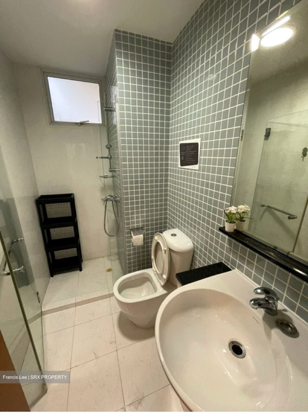 The Jade (D23), Condominium #456326871